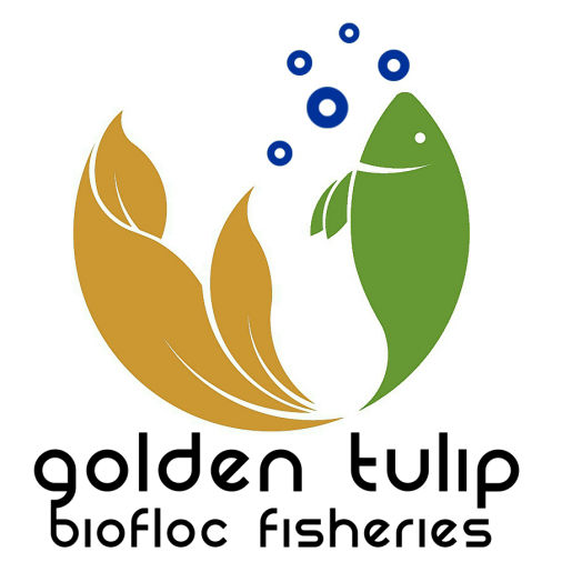 Official logo of Golden Tulip Biofloc Fisheries
